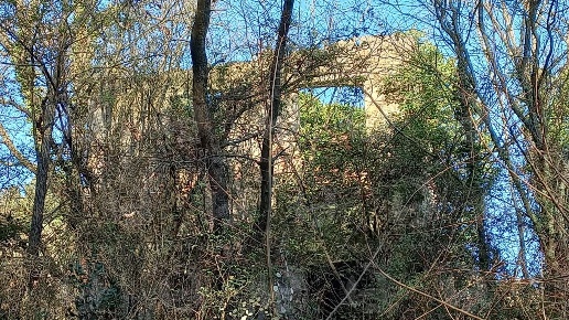immagine annuncio 2 di 4
