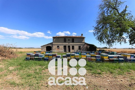Foto Rustico in sansovini, Forlì Pievequinta di 358 m² con 7 locali