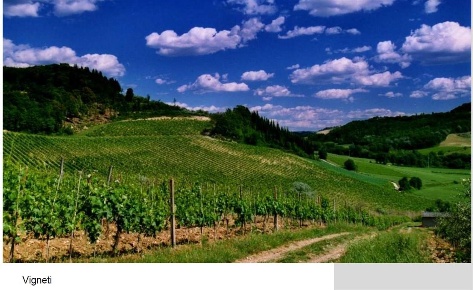Foto Rustico a Montespertoli in vendita