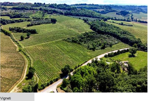 immagine annuncio 3 di 12