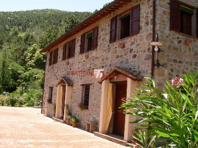 Foto Rustico in VIA DI S. COLOMBANO, Capannori di 250 m² con 8 locali