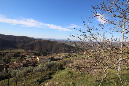 Foto Rustico a Greve in Chianti di 70 m² con 5 locali in vendita