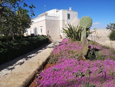 Foto Rustico in Contrada Marinelli, Cisternino di 350 m² con 20 locali