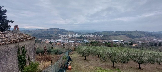 immagine annuncio 5 di 6
