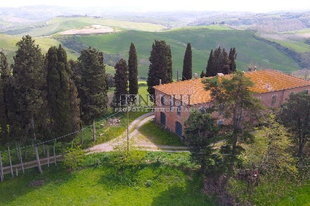 Foto Rustico a Asciano di 410 m² con 8 locali in vendita