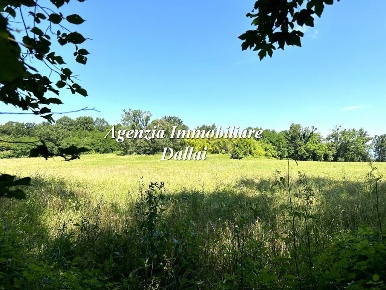 Foto Rustico in Via Sagginalese, Borgo San Lorenzo Sagginale di 285 m²