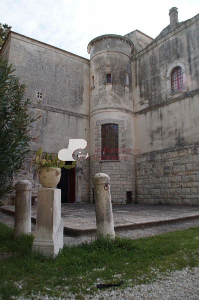 immagine annuncio 2 di 11