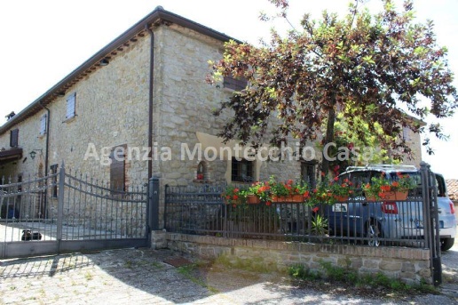 immagine annuncio 1 di 4
