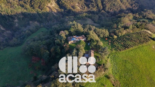 Foto Cessione attività a Roncofreddo Diolaguardia in vendita