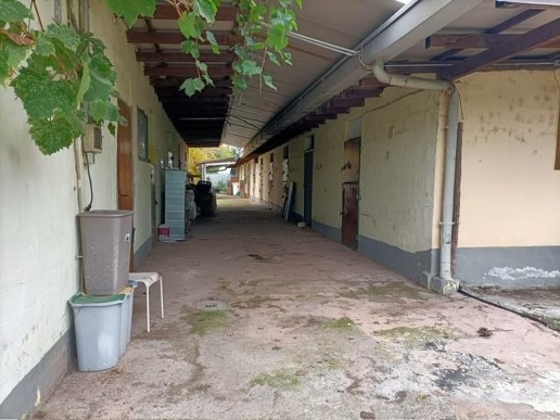 immagine annuncio 1 di 6