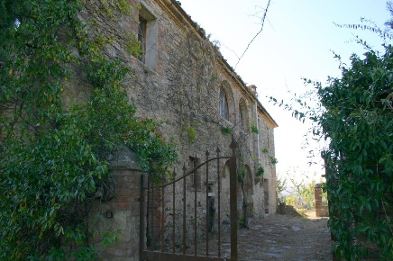 Foto Rustico a Asciano di 800 m² in vendita