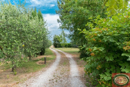 Foto Rustico a Cesena Bagnile di 110 m² in vendita