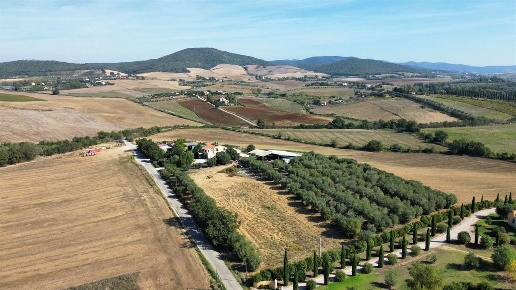 immagine annuncio 4 di 8