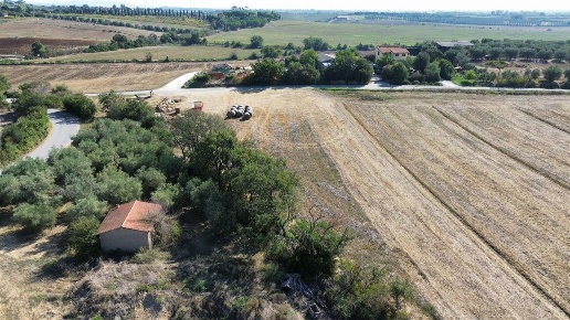 immagine annuncio 5 di 8