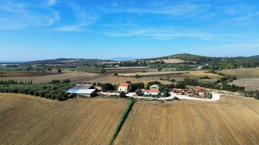 immagine annuncio 6 di 8
