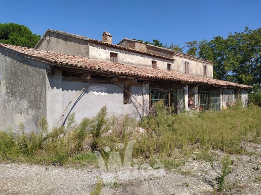 immagine annuncio 1 di 6