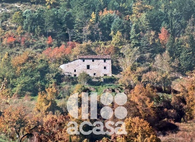Foto Rustico a Bagno di Romagna di 264 m² con 6 locali in vendita