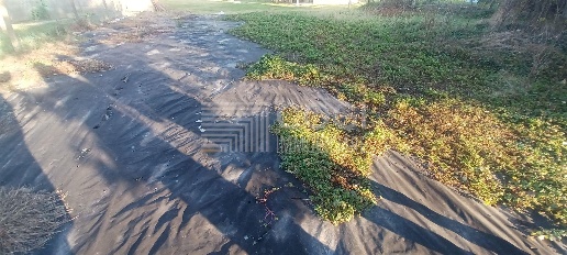 Foto Rustico in Via Bastia, Lugo di 600 m² con 2 locali in vendita