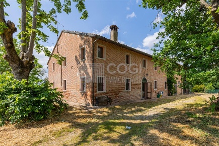 Foto Rustico a Conselice di 514 m² con 6 locali in vendita