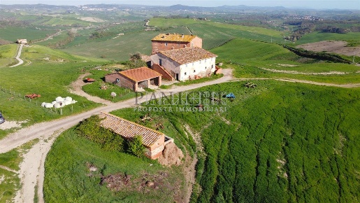 Foto Rustico a Asciano di 1280 m² con 17 locali in vendita