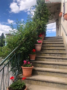 Foto Rustico a Asciano di 355 m² con 10 locali in vendita