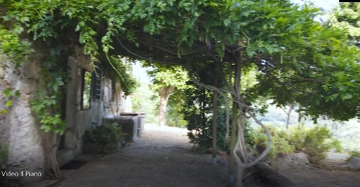 immagine annuncio 12 di 14