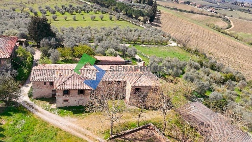 Foto Rustico a Castellina in Chianti di 1030 m² con 10 locali in vendita