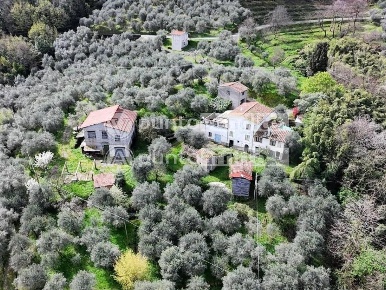 Foto Rustico a Lucca La Maulina - Morianese di 650 m² con 13 locali