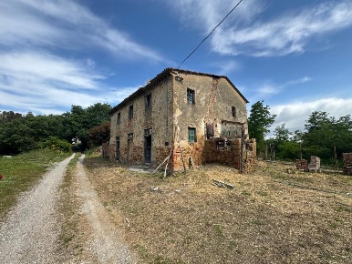 Foto Rustico a Fauglia di 250 m² con 8 locali in vendita