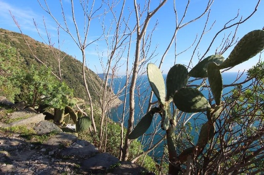 immagine annuncio 3 di 14