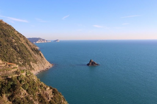 immagine annuncio 8 di 14