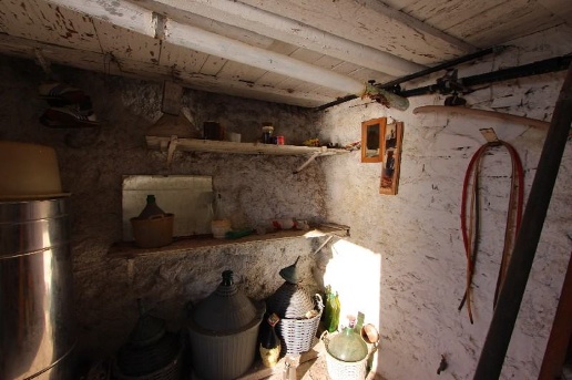 immagine annuncio 9 di 14