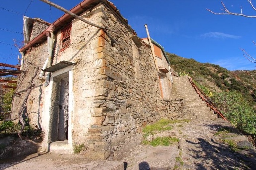 immagine annuncio 11 di 14