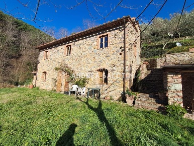 Foto Rustico a Buti di 200 m² con 8 locali in vendita