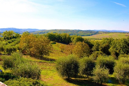 Foto Rustico a Colle di Val d'Elsa Quartaia, Pian dell'Olmino, Mensanello