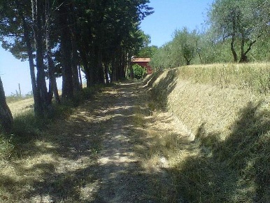 Foto Rustico a Peccioli Centro di 300 m² con 10 locali in vendita