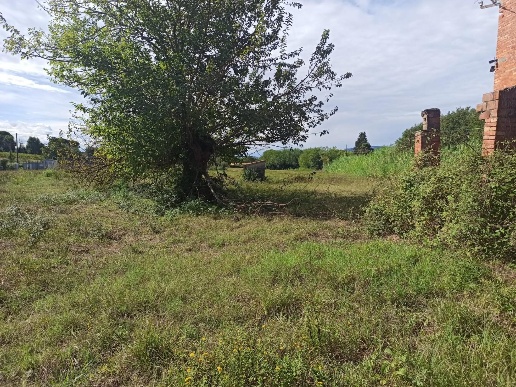 immagine annuncio 5 di 8