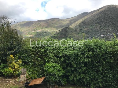 Foto Rustico a Lucca Brancoleria di 87 m² con 2 locali in vendita