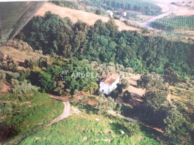 Foto Rustico a Palaia di 300 m² con 8 locali in vendita