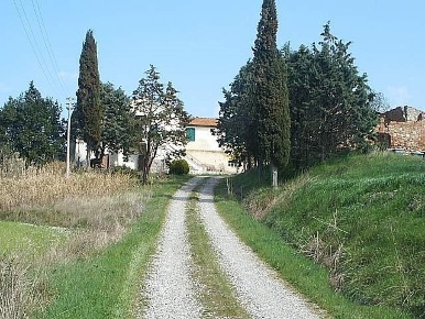 Foto Rustico a Volterra Centro di 1650 m² in vendita