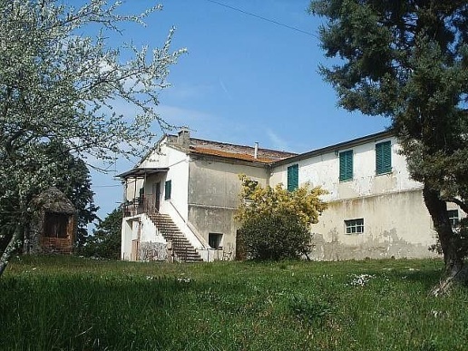 immagine annuncio 3 di 11