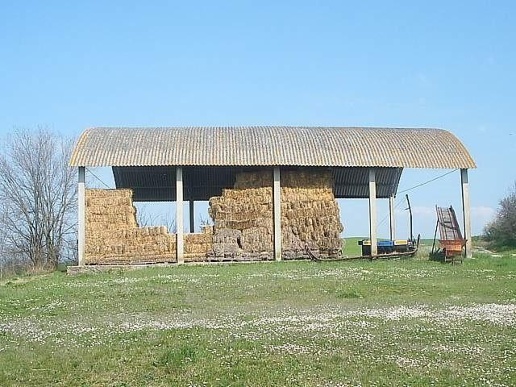 immagine annuncio 8 di 11