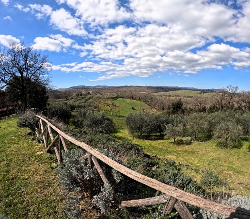 immagine annuncio 11 di 15