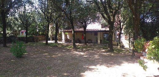 immagine annuncio 11 di 14