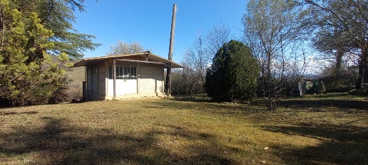 immagine annuncio 5 di 12