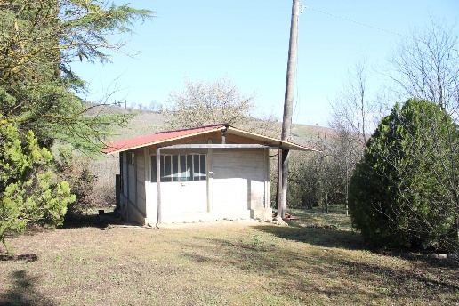 immagine annuncio 6 di 12