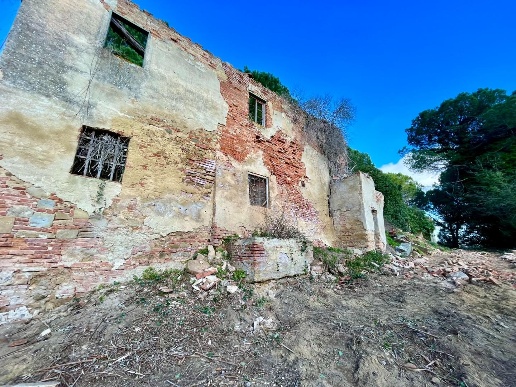 immagine annuncio 10 di 14