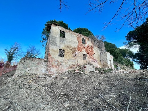 immagine annuncio 11 di 14