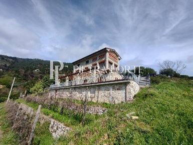 Foto Rustico a Pietrasanta di 180 m² con 7 locali in vendita