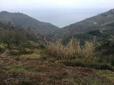 Foto Rustico a Vernazza Centro Storico di 15 m² in vendita